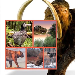 Baby Professor Animal Facts Kindle Book – 32‑Page Reptile & Amphibian-0